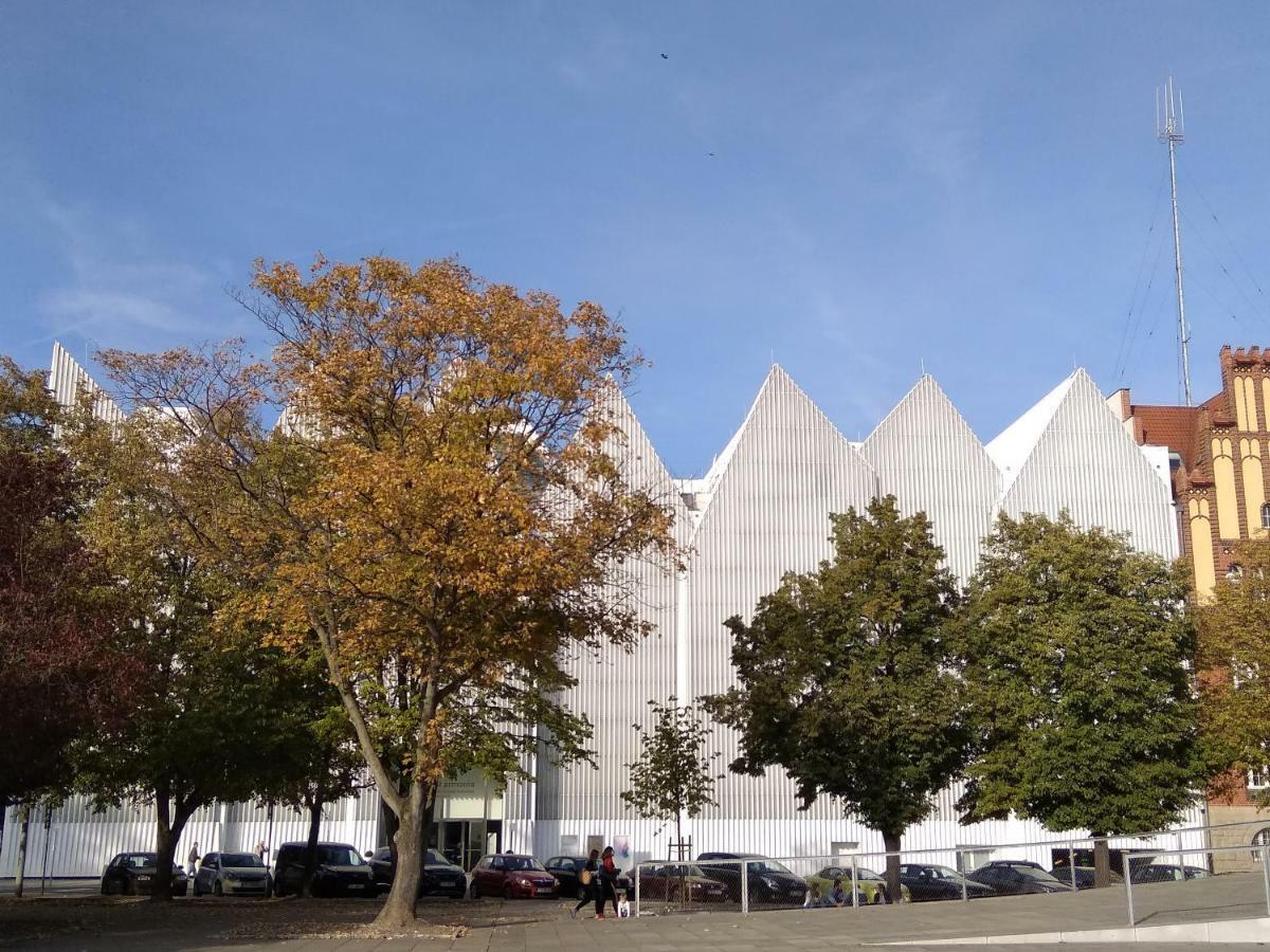 Orła